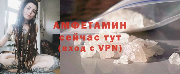 сатива Аркадак