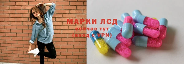 сатива Аркадак