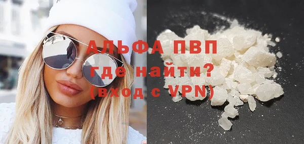 сатива Аркадак