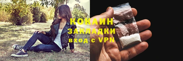 дурь Арсеньев