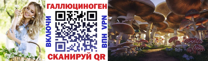 Купить где  Уяр  Галлюциногенные грибы прущие грибы 